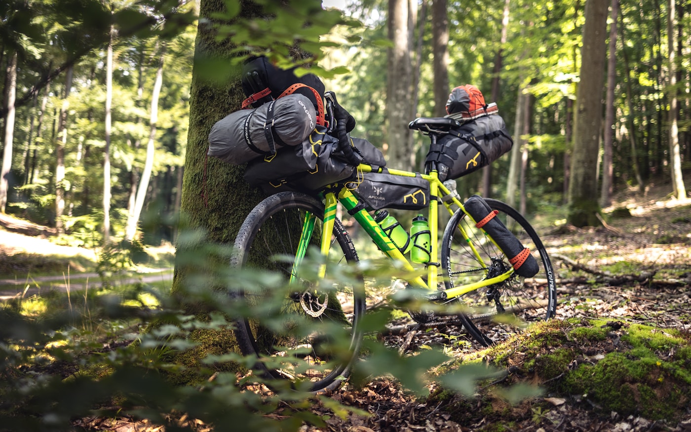 A loaded bike leaning against a tree in the forest, with bags and camping gear attached