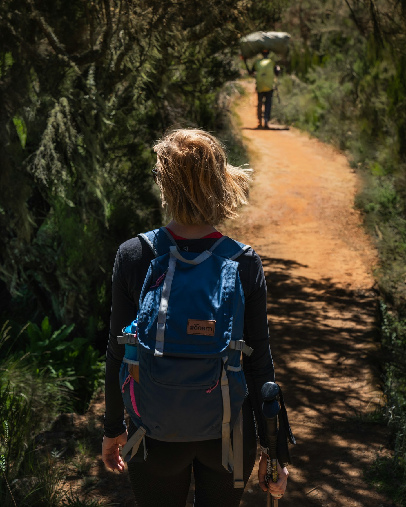 A walker with a backpack and trekking poles on a woodland trail